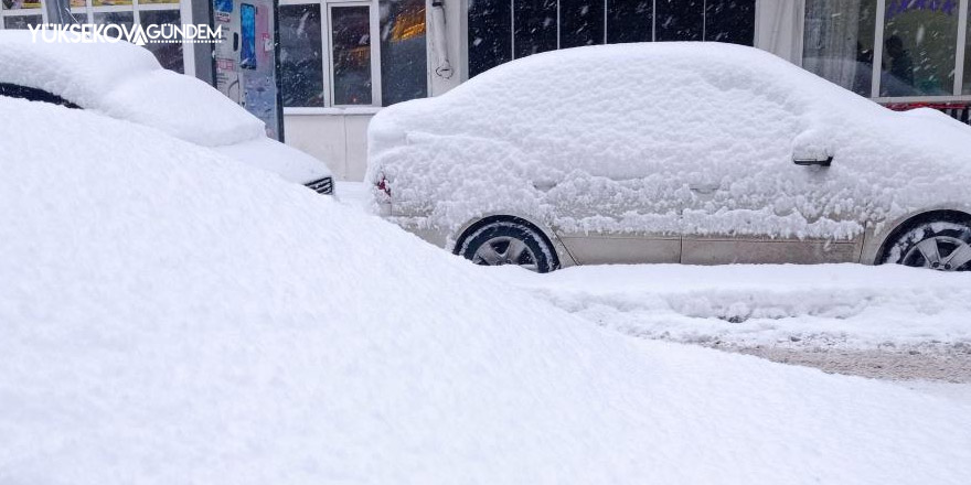 Hakkari’de 95 yerleşim yerinin yolu kapandı