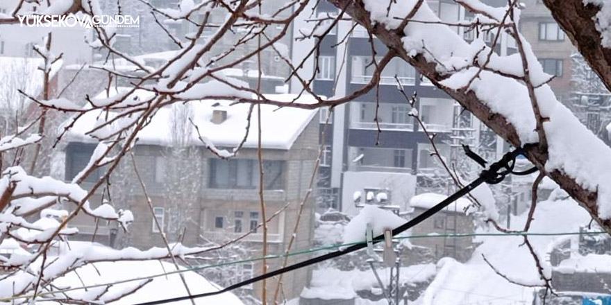 Hakkari’de 21 yerleşim yeri yolu ulaşıma kapandı