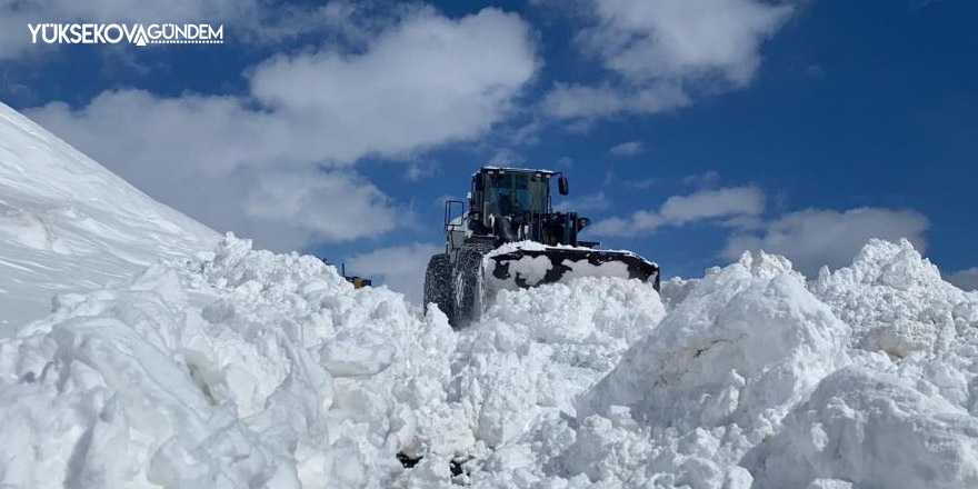 Hakkari'de 84 yerleşim yerinin yolu ulaşıma kapandı