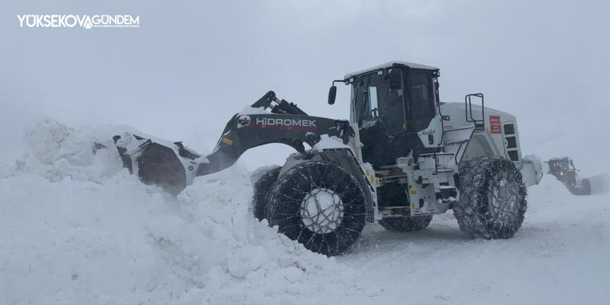 Hakkari'de 30 yerleşim yerinin yolu ulaşıma kapandı