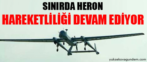 Sınırda Heron hareketliliği devam ediyor