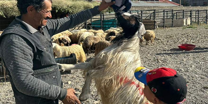 Yüksekova'da kurban pazarı durgun