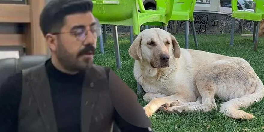 Kuduz köpeğin saldırınsa uğrayan mimar hayatını kaybetti