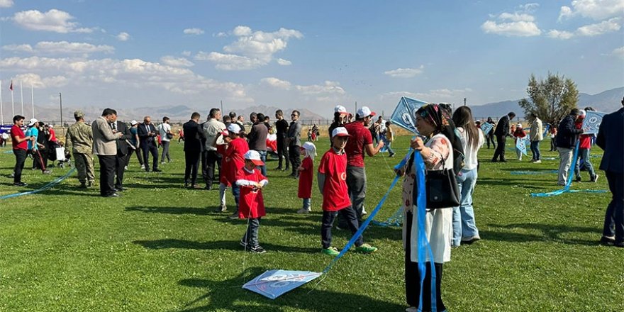 Yüksekova'da uçurtma şenliğinde renkli görüntüler