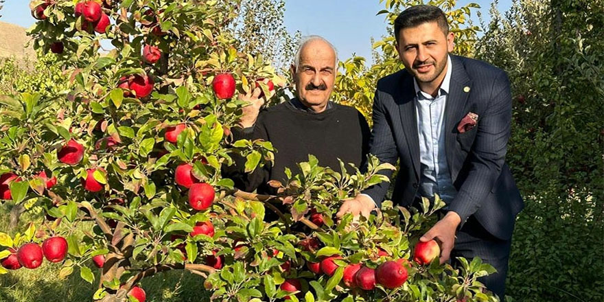 Meyve ağaçlarından ton ton ürün alıyor