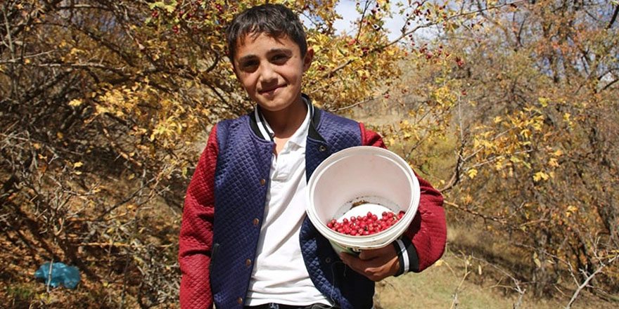 Yüksekova'da Yumuşan çocuklar için gelir kaynağı oldu