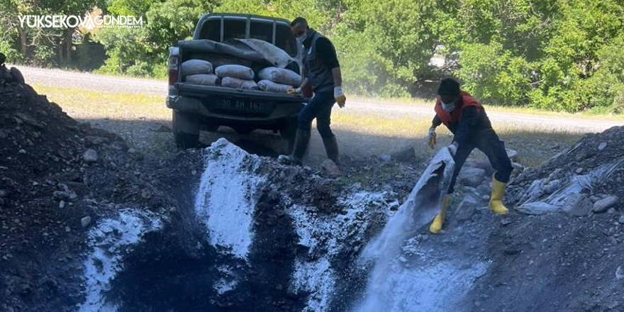 Hakkari'de kazada telef olan hayvanlar gömüldü