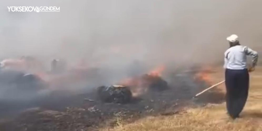 Yüksekova’da çıkan arazi yangını korkuttu
