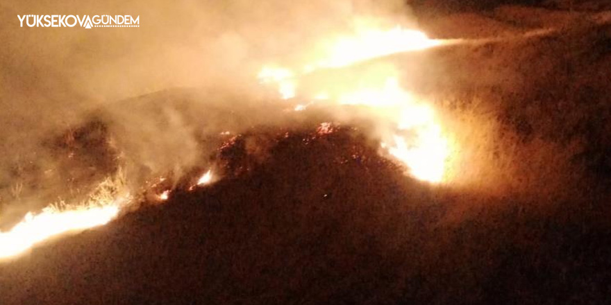 Hakkari'de Anız yangını meydana geldi