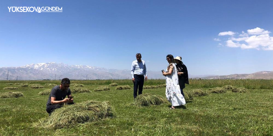 Yüksekova’da yağışlar çiftçilerin yüzünü güldürdü