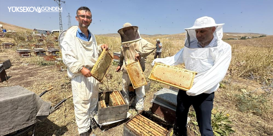 Yüksekova'da Kovan kovan bal sağımı başladı