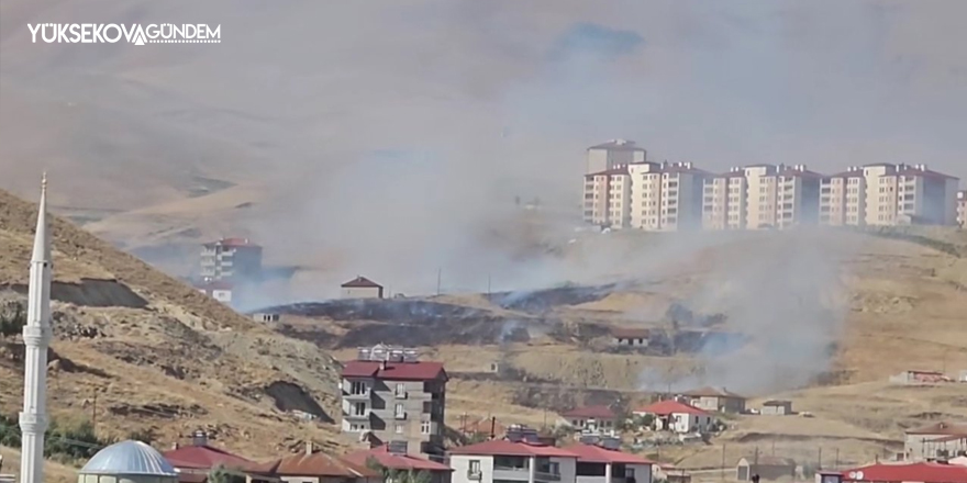 Yüksekova'da çıkan ot yangını korkuttu