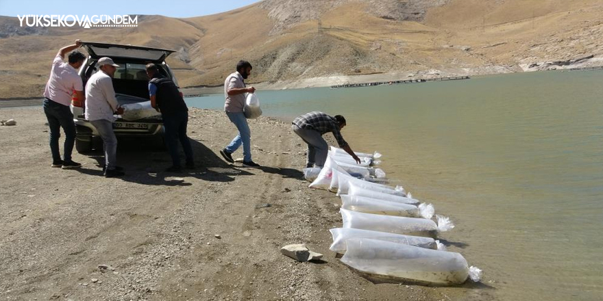 Van’da 400 bin yavru sazan göllere bırakıldı