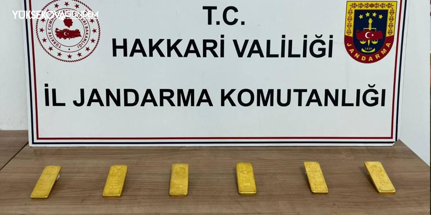 Hakkari'de 6 kilo külçe altın ele geçirildi