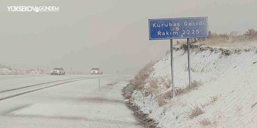 Van'da kar ve yoğun sis yüksek kesimlerde etkili oldu