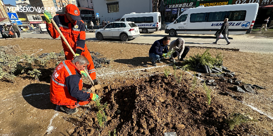 Yüksekova’da orta refüjde ağaçlandırma çalışmaları devam ediyor