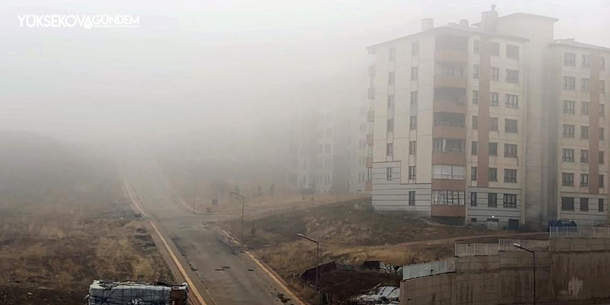 Yüksekova'da yoğun sis etkili oldu