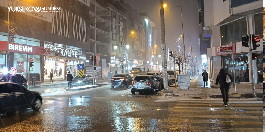 Van'da yoğun kar yağışı etkili oluyor