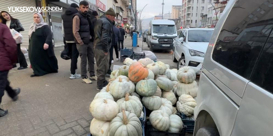 Yüksekova’da kışın vazgeçilmezi: Bal kabak