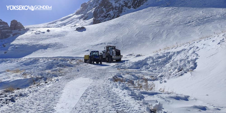 Hakkari 3 bin 500 rakımda zorlu çalışma