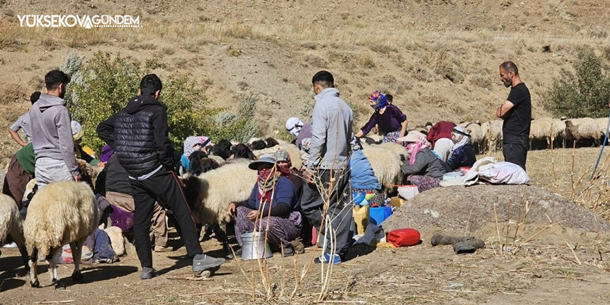 Yüksekova’da 62 köyde aşı ve kimliklendirme çalışması yapıldı