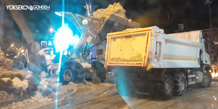 Hakkari'de 20 araçla karla mücadele yapıldı