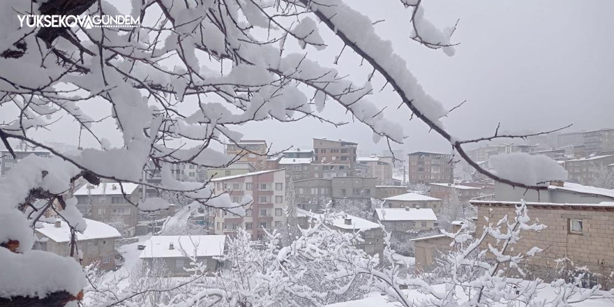 Hakkari'de kartpostallık kar manzaraları