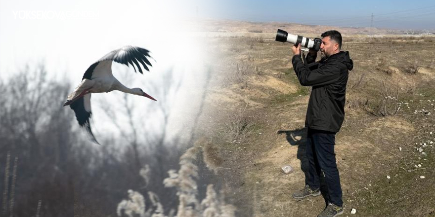 Dicle Nehri havzasında leyleklerin uzun yıllardır göç etmediği gözlemlendi