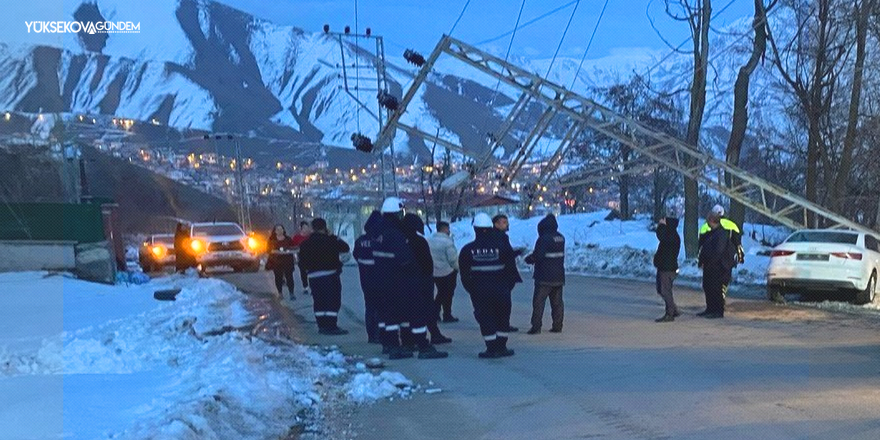 Hakkari'de otomobil elektrik direğine çarptı: 2 yaralı