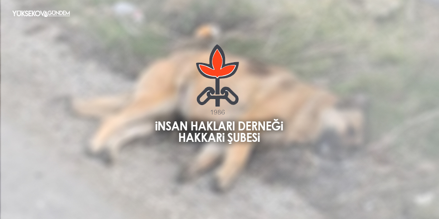 Hakkari İHD, ölü bulunan köpekler ile ilgili açıklama yaptı