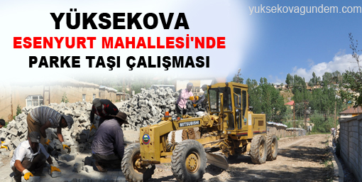 Esenyurt mahallesi'nde Parke Taşı çalışması