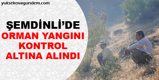 Şemdinli'de orman yangını kontrol altına alındı