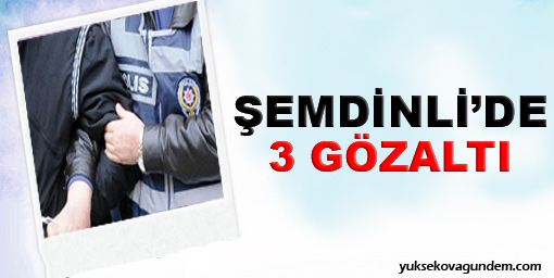 Şemdinli'de 3 kişi gözaltına alındı