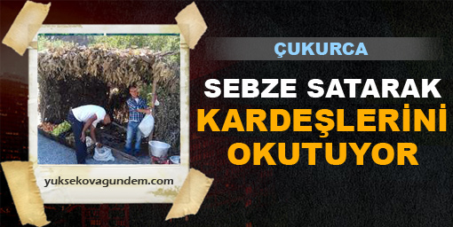 Sebze satarak kardeşlerini okutuyor