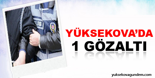 Yüksekova'da bir gözaltı