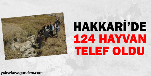 Hakkari'de 124 hayvan telef oldu