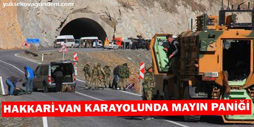 Hakkari-Van karayolunda mayın paniği