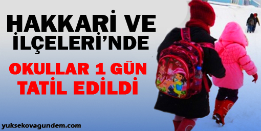 Hakkari'de okullar yarın tatil edildi