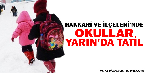 Hakkari'de okullar yarın'da tatil