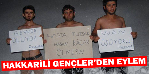 Hakkarili gençlerden ilginç eylem