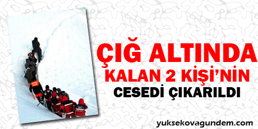 Çığ altında 2 İranlının cesedi çıkartıldı